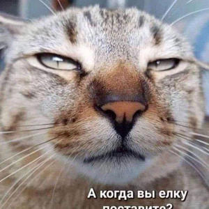 Братья меньшие