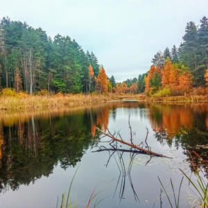 Осень удвоилась в зеркале воды