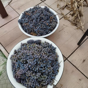 Вкуснотень