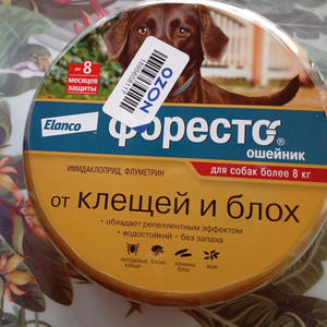 Братья меньшие