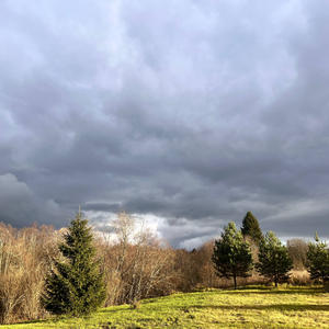 Всякое разное