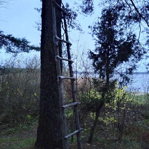 Про Селигер