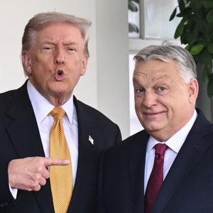 Пикейные жилеты