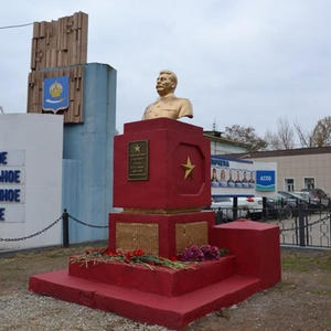 Пикейные жилеты