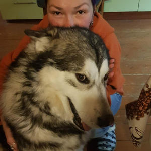 Братья меньшие