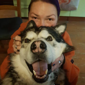 Братья меньшие