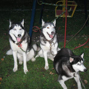 Братья меньшие