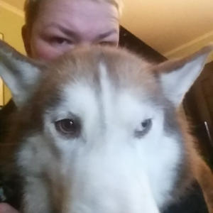 Братья меньшие