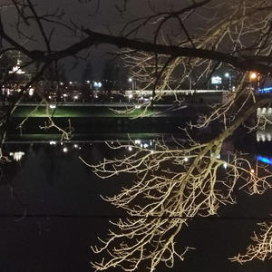 Пикейные жилеты