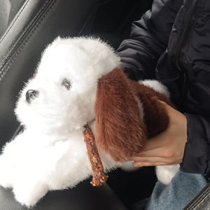 Братья меньшие