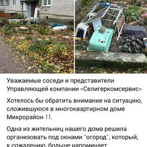 Дача и грядки