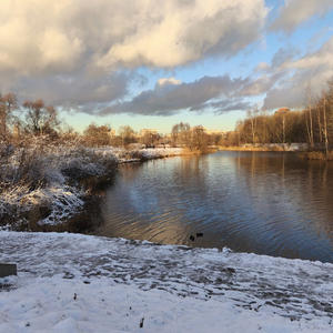 Всякое разное