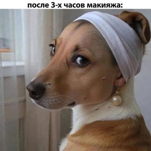 Братья меньшие