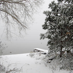 Зимняя тишина у заснеженного берега