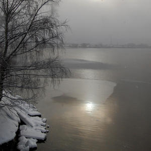 Солнце тонет в молоке тумана