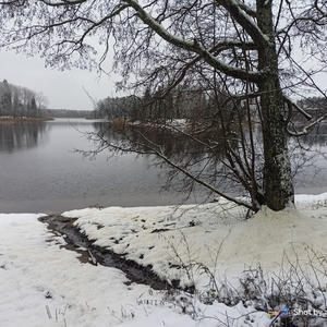 Снег на ветвях, тишина на воде