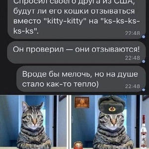Братья меньшие