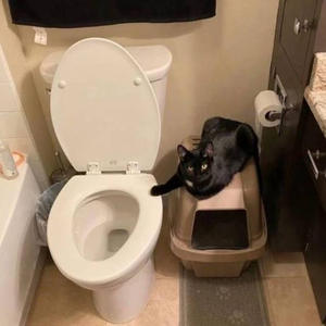 Братья меньшие