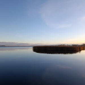 Зеркальный штиль в золоте камышей