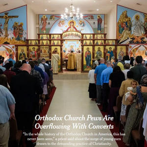 Пикейные жилеты