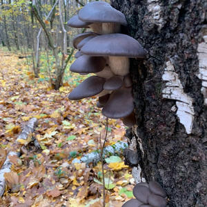 Про Селигер