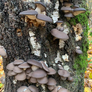 Про Селигер