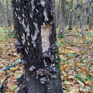 Про Селигер