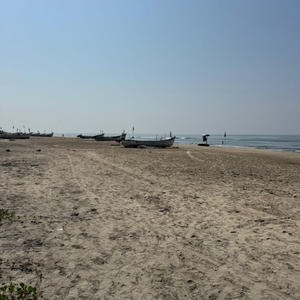 Пикейные жилеты