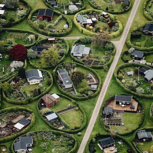 Дача и грядки