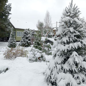 Дом на о. Волго первая линия