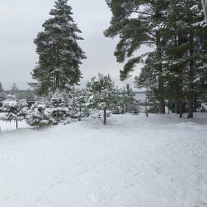 Дом на о. Волго первая линия