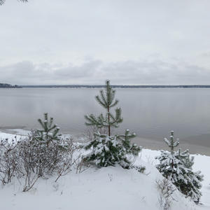 Дом на о. Волго первая линия