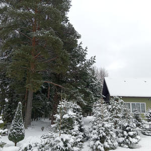 Дом на о. Волго первая линия