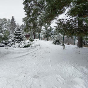 Дом на о. Волго первая линия