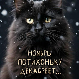 Братья меньшие