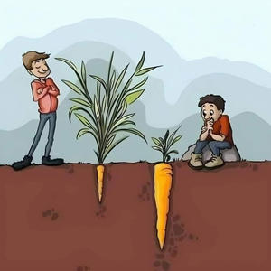 Дача и грядки