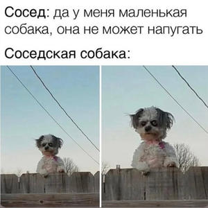 Всякое разное