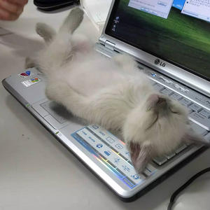 Всякое разное