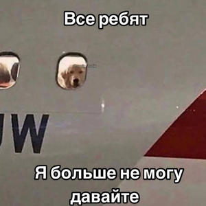 Братья меньшие