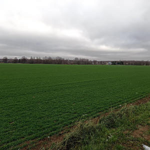 Путешествия