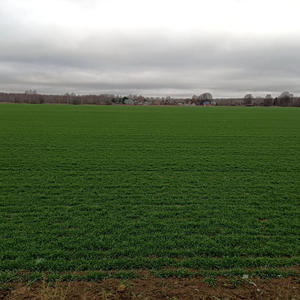 Путешествия