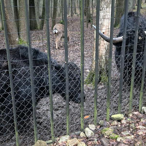 Путешествия