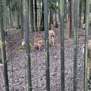 Путешествия