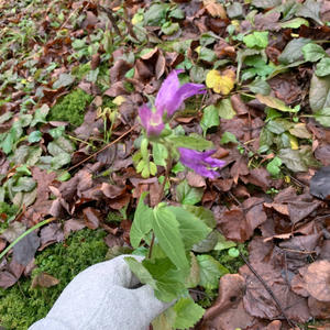 Про Селигер