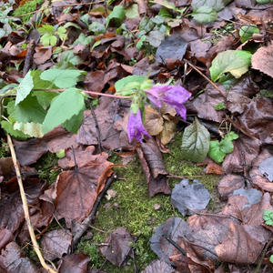 Про Селигер