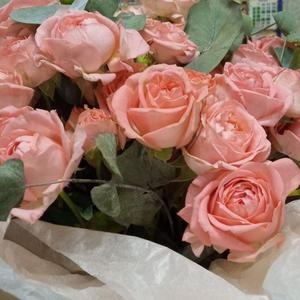 Братья меньшие