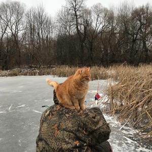 Братья меньшие