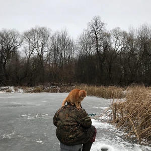 Братья меньшие