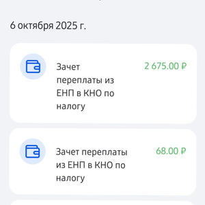 Пикейные жилеты