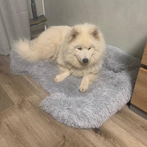 Братья меньшие